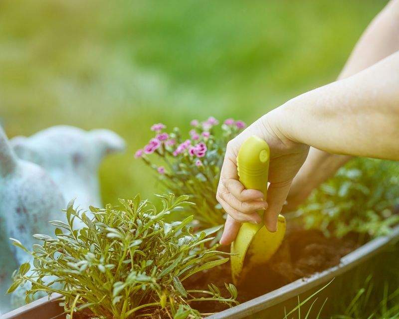 植栽設計・ガーデンデザイン